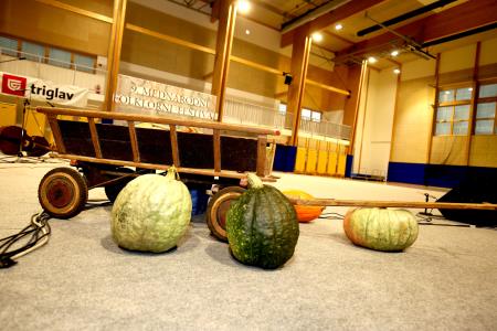 Folklorni festival KD Rak Rakek 05 Foto Ljubo Vukelič